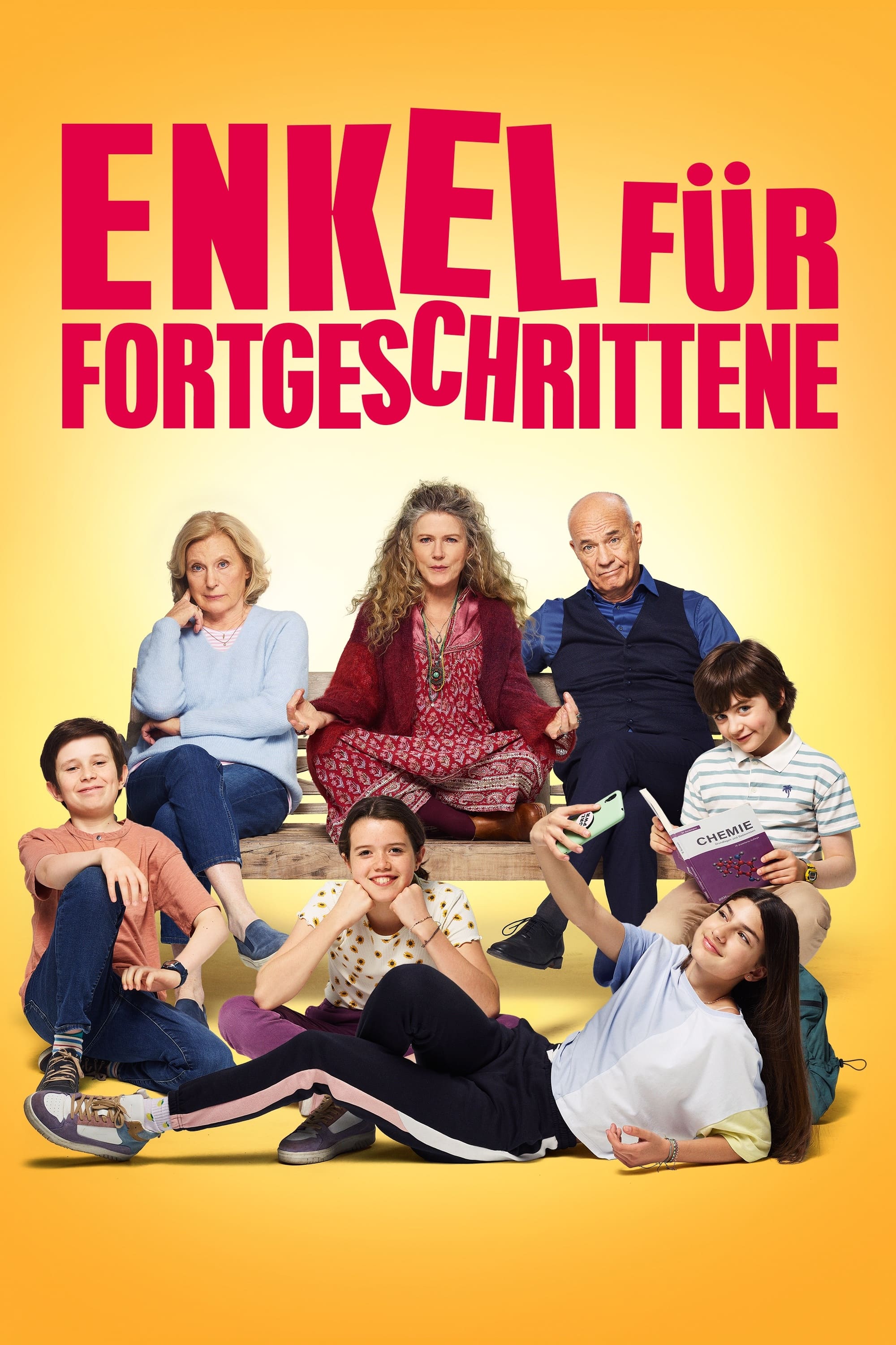 Постер Enkel für Fortgeschrittene